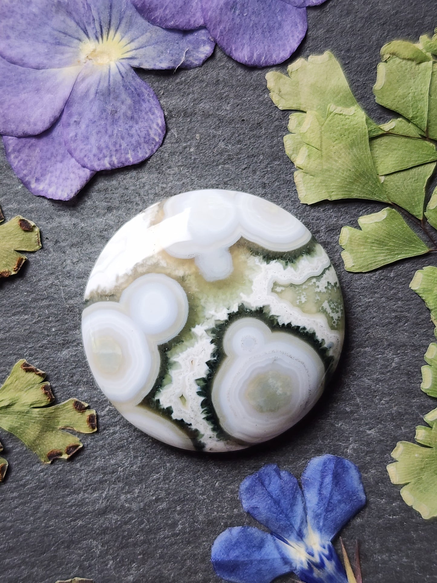 Ocean jasper