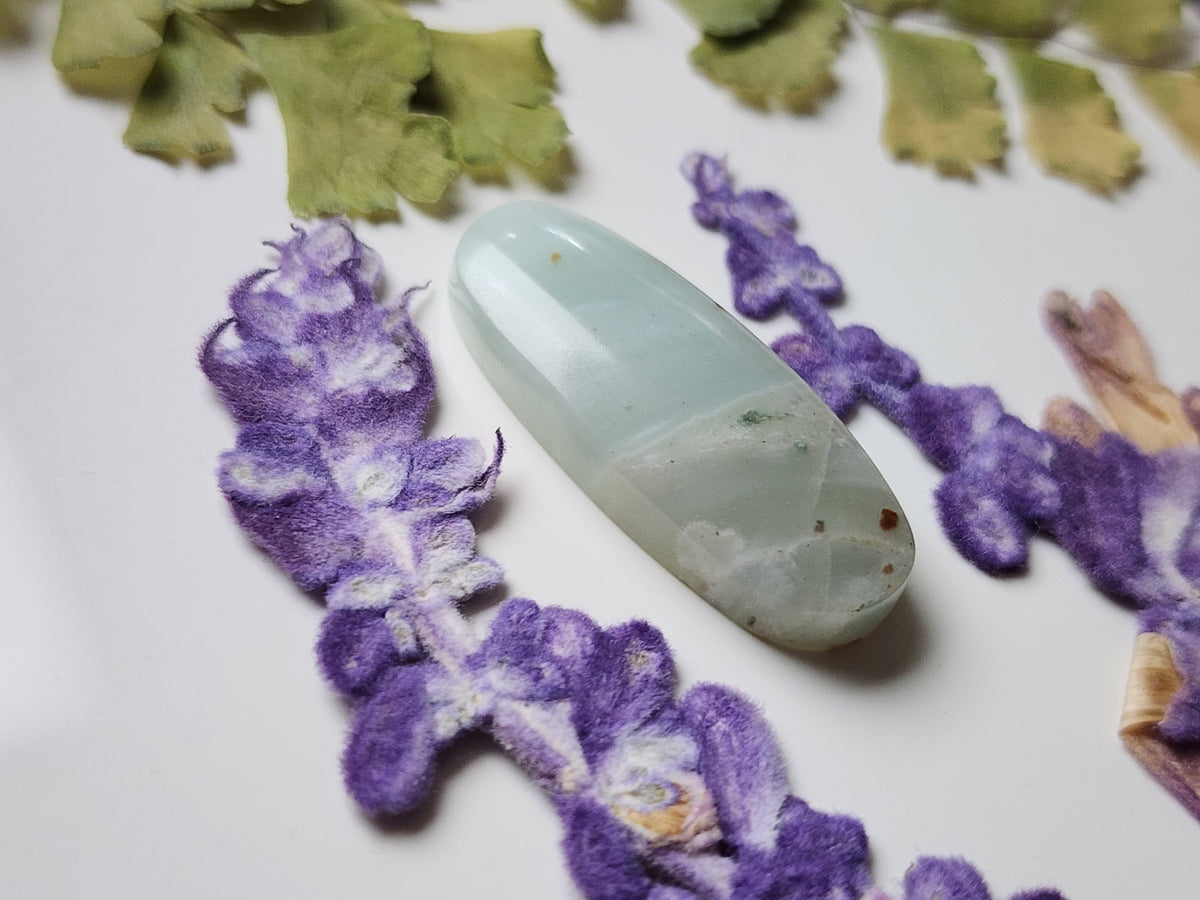 BC Ocean picture stone