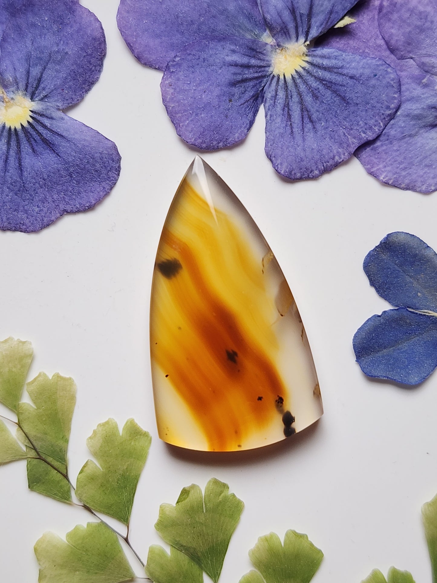 Montana agate