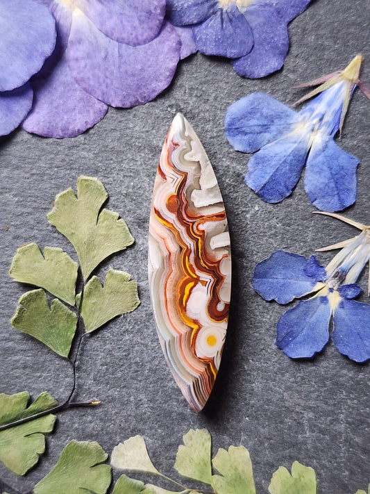 Laguna lace agate