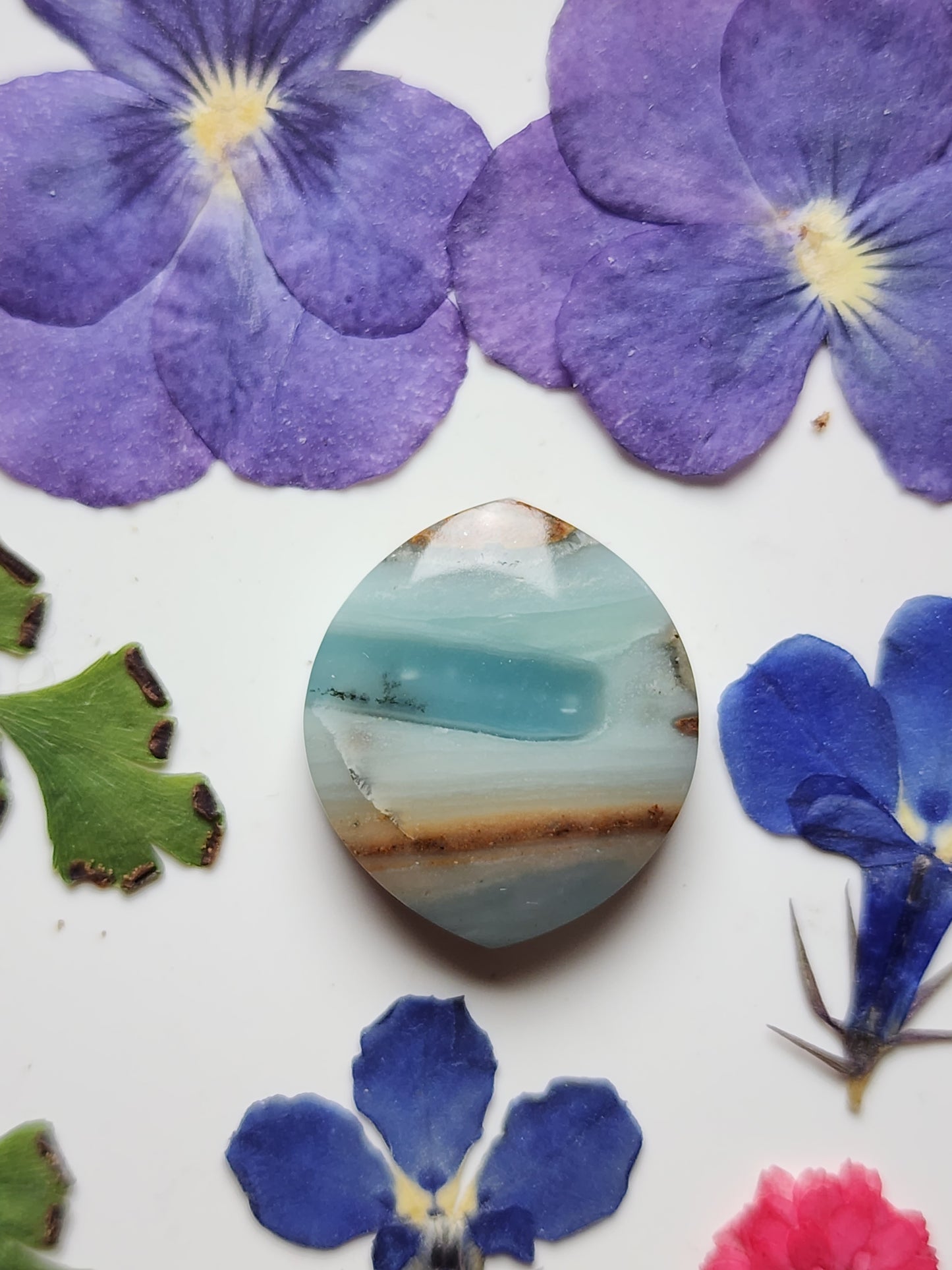 BC Ocean picture stone