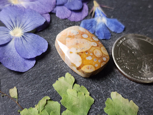 Spotted Fawn jasper