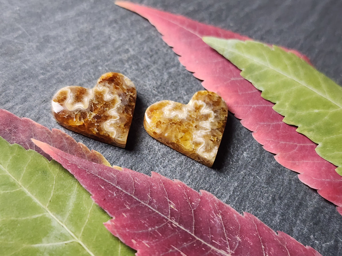 Suture Ammonite heart pair