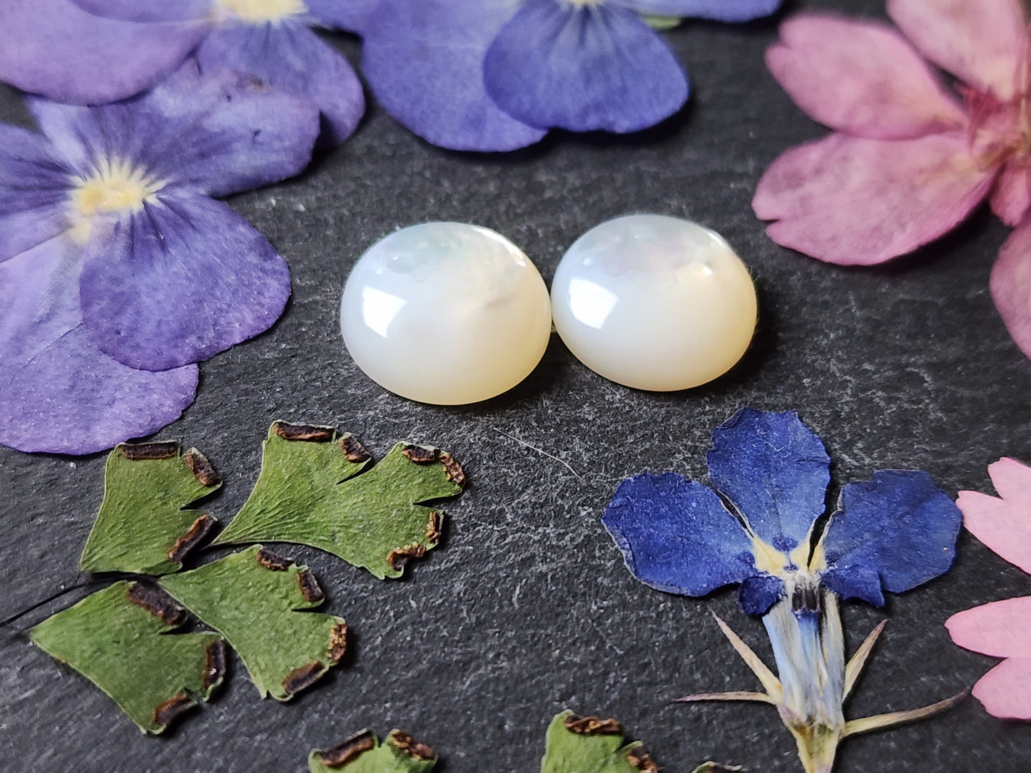 Mother of pearl shell pair