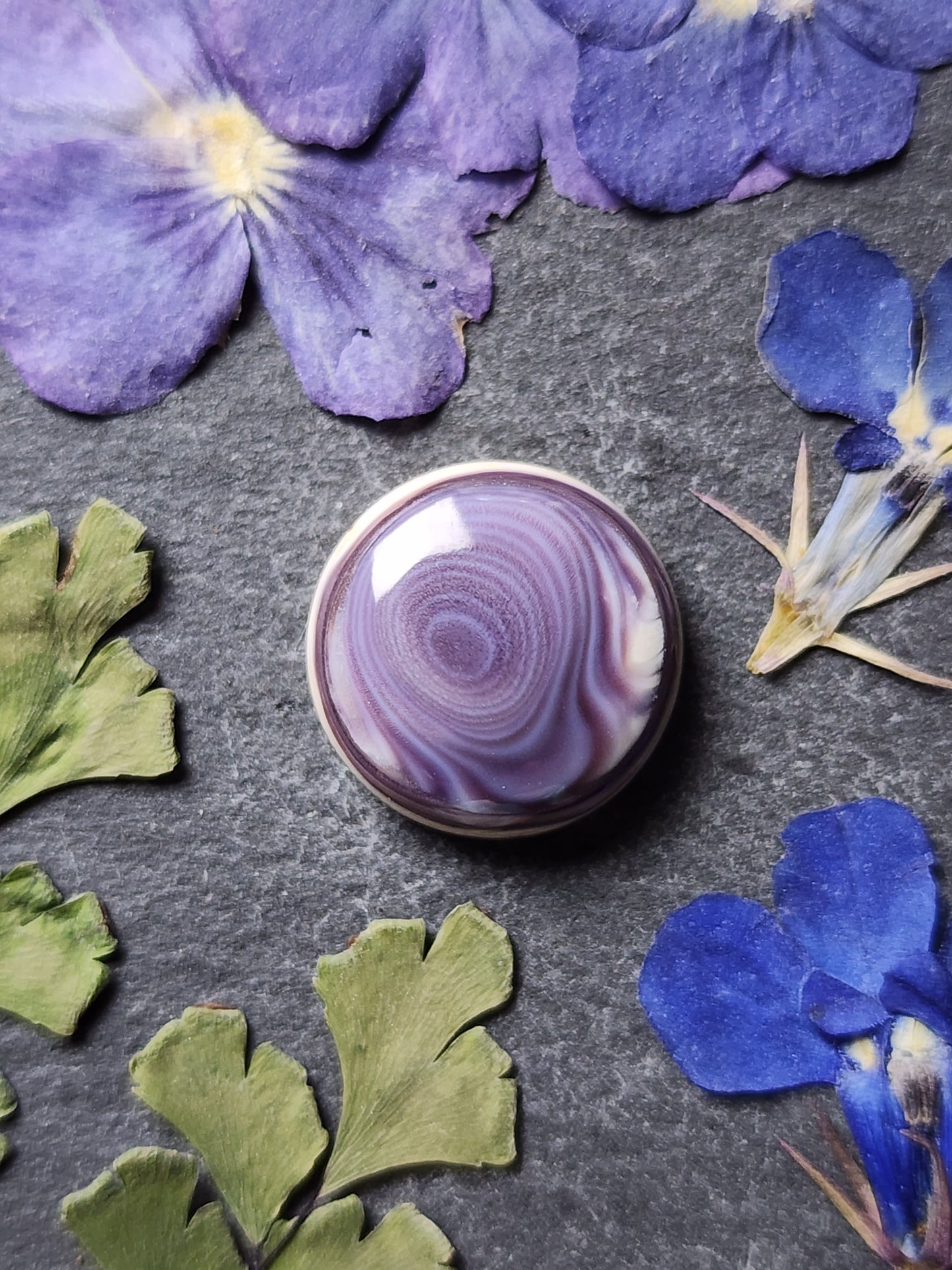 Wampum shell