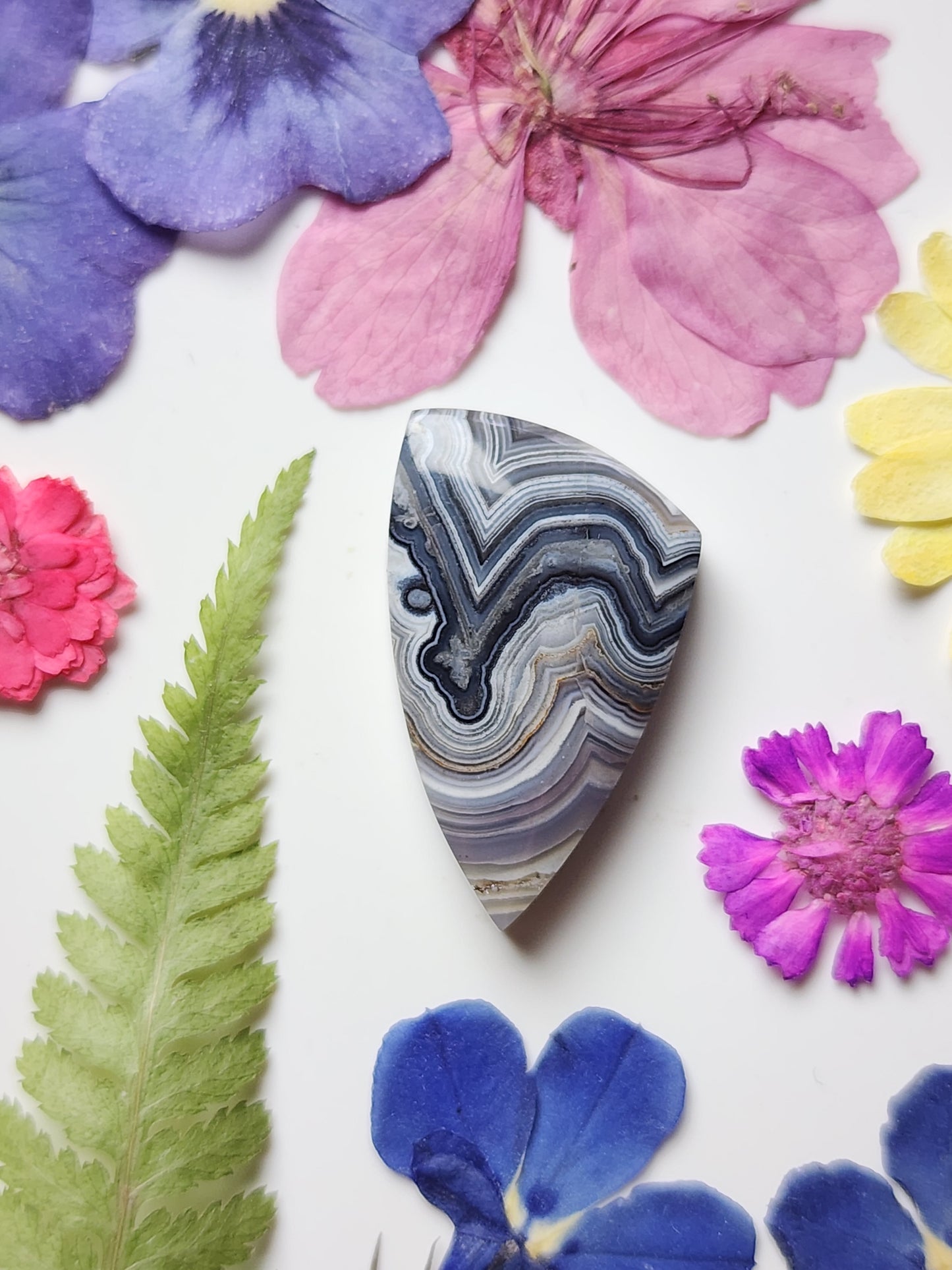Laguna lace agate