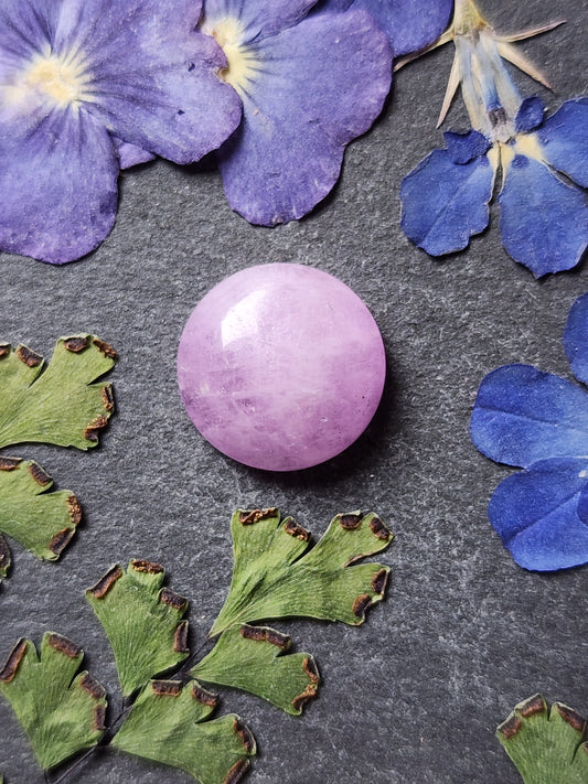 Lavender Kunzite