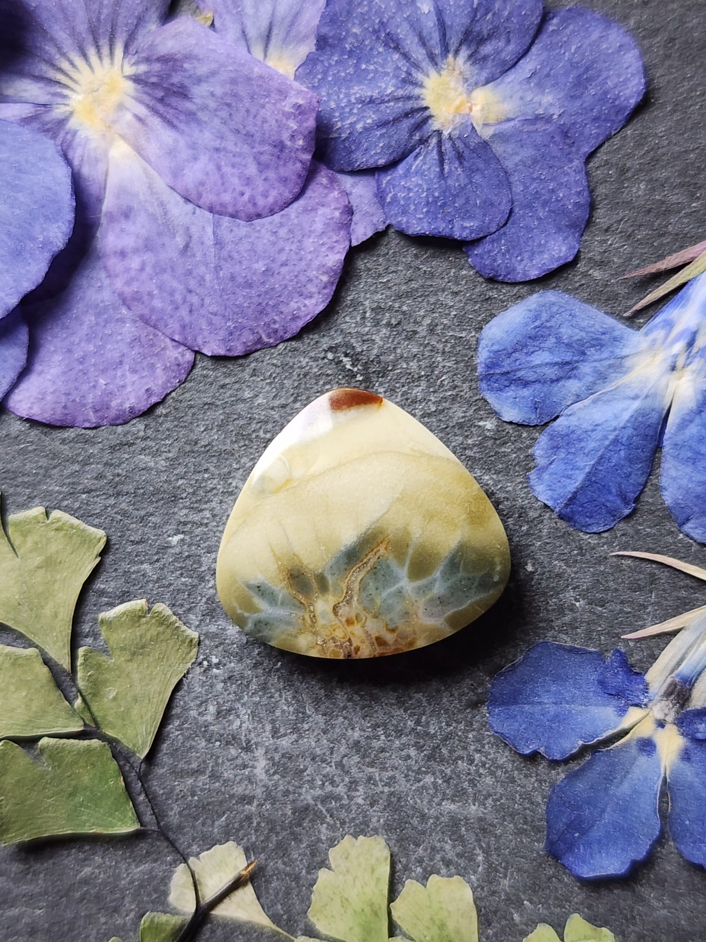 Brecciated Polychrome jasper