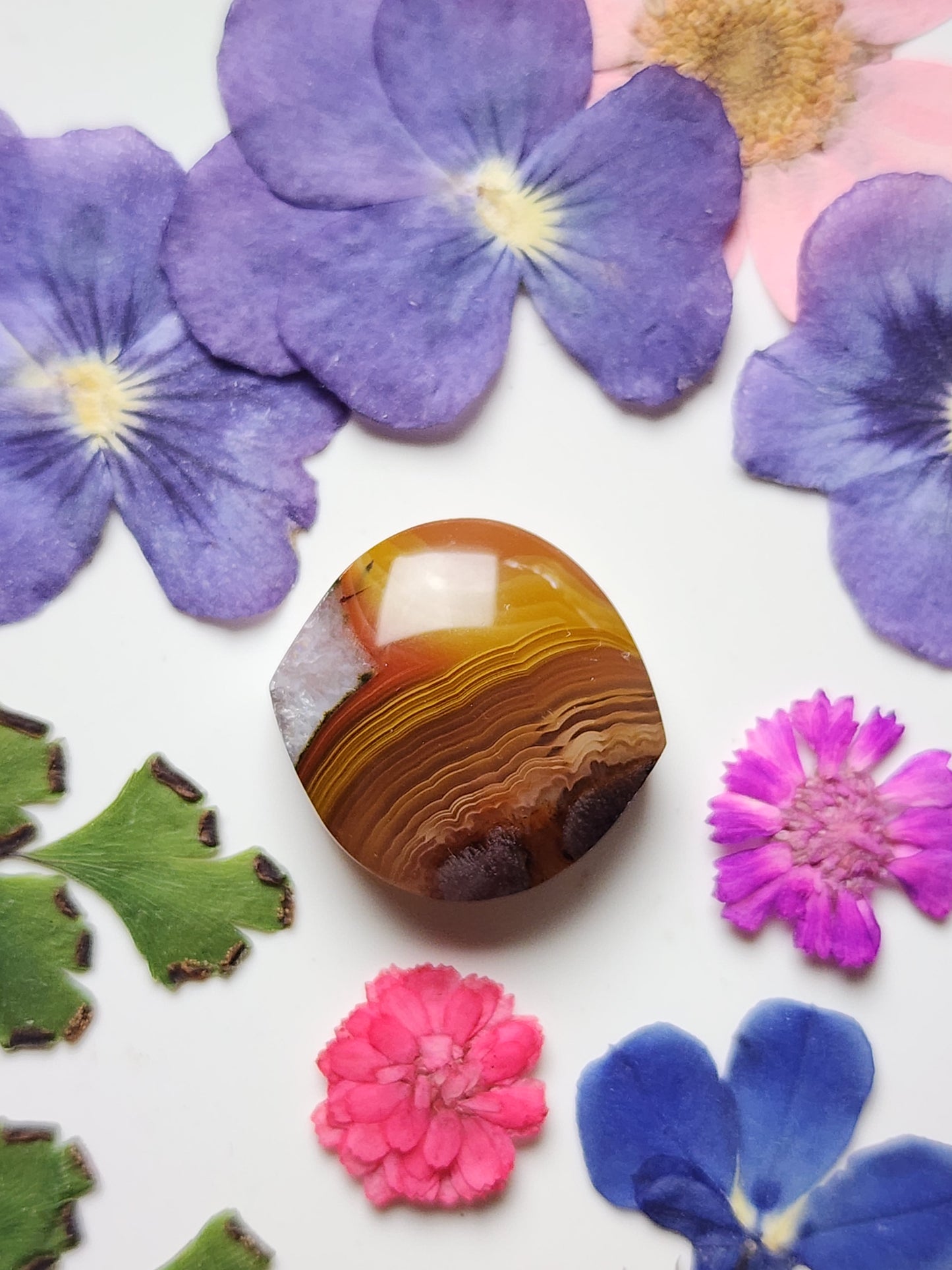 Agua Nueva agate