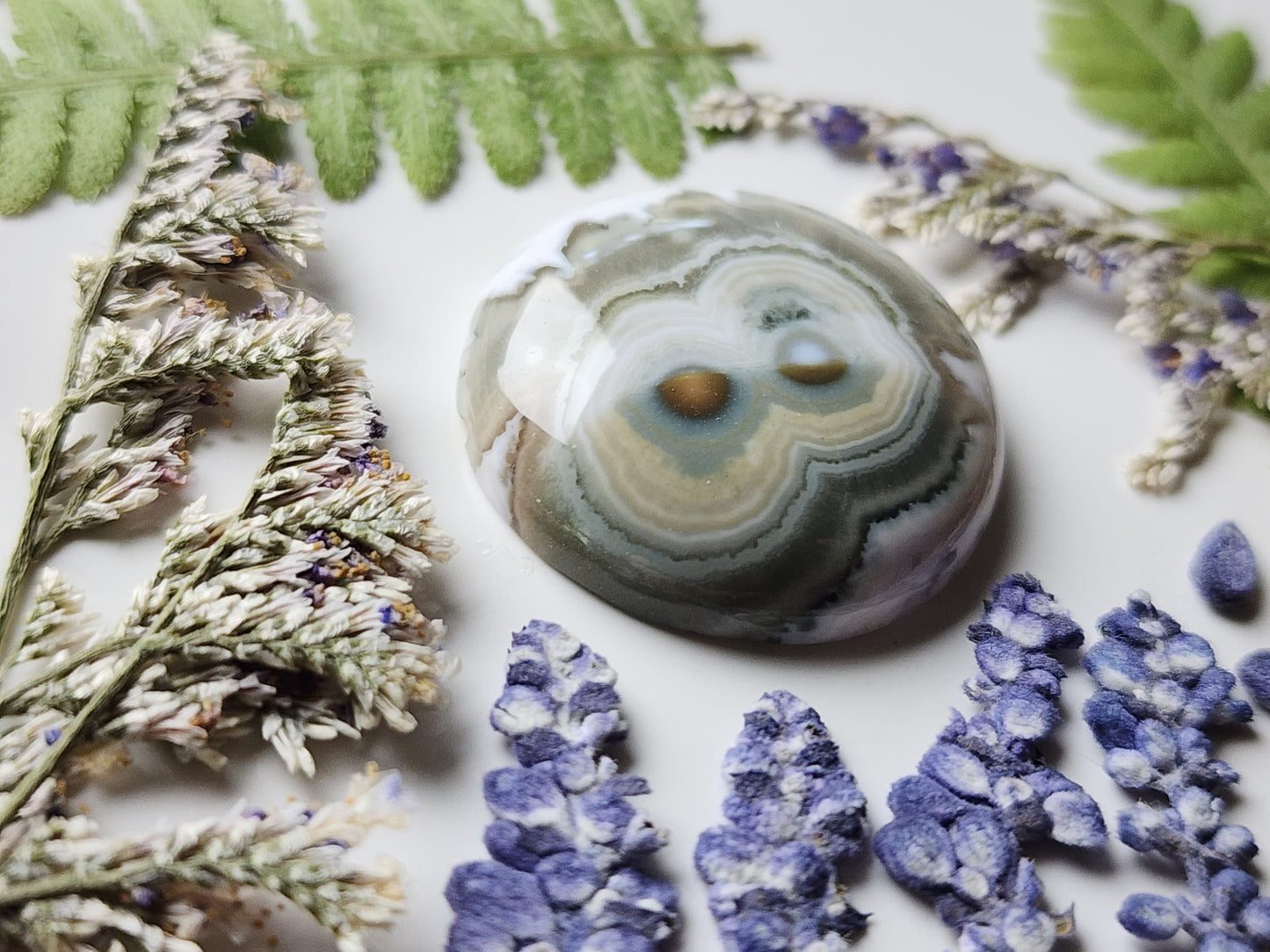 Ocean jasper