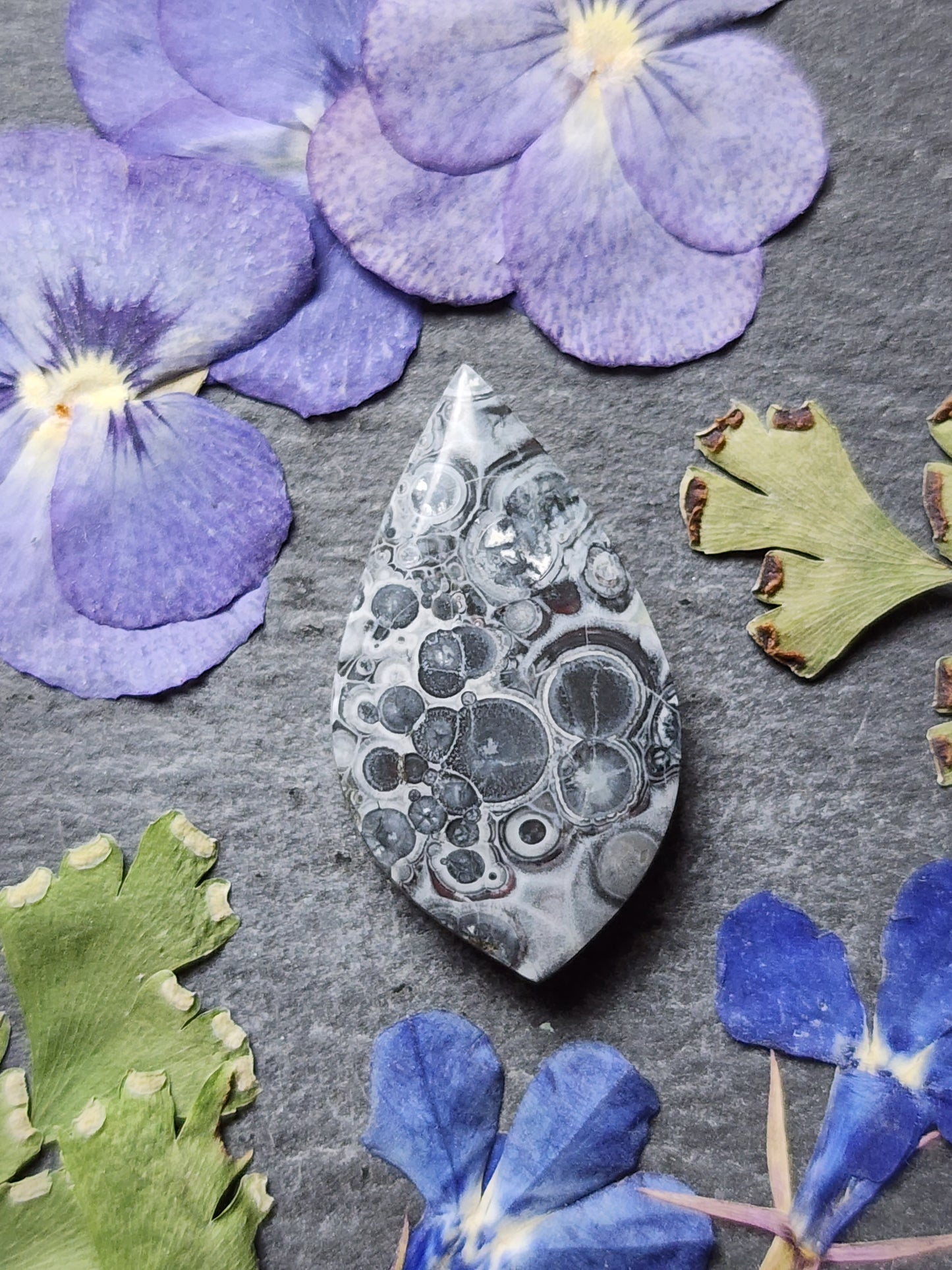 Galaxy Rhyolite