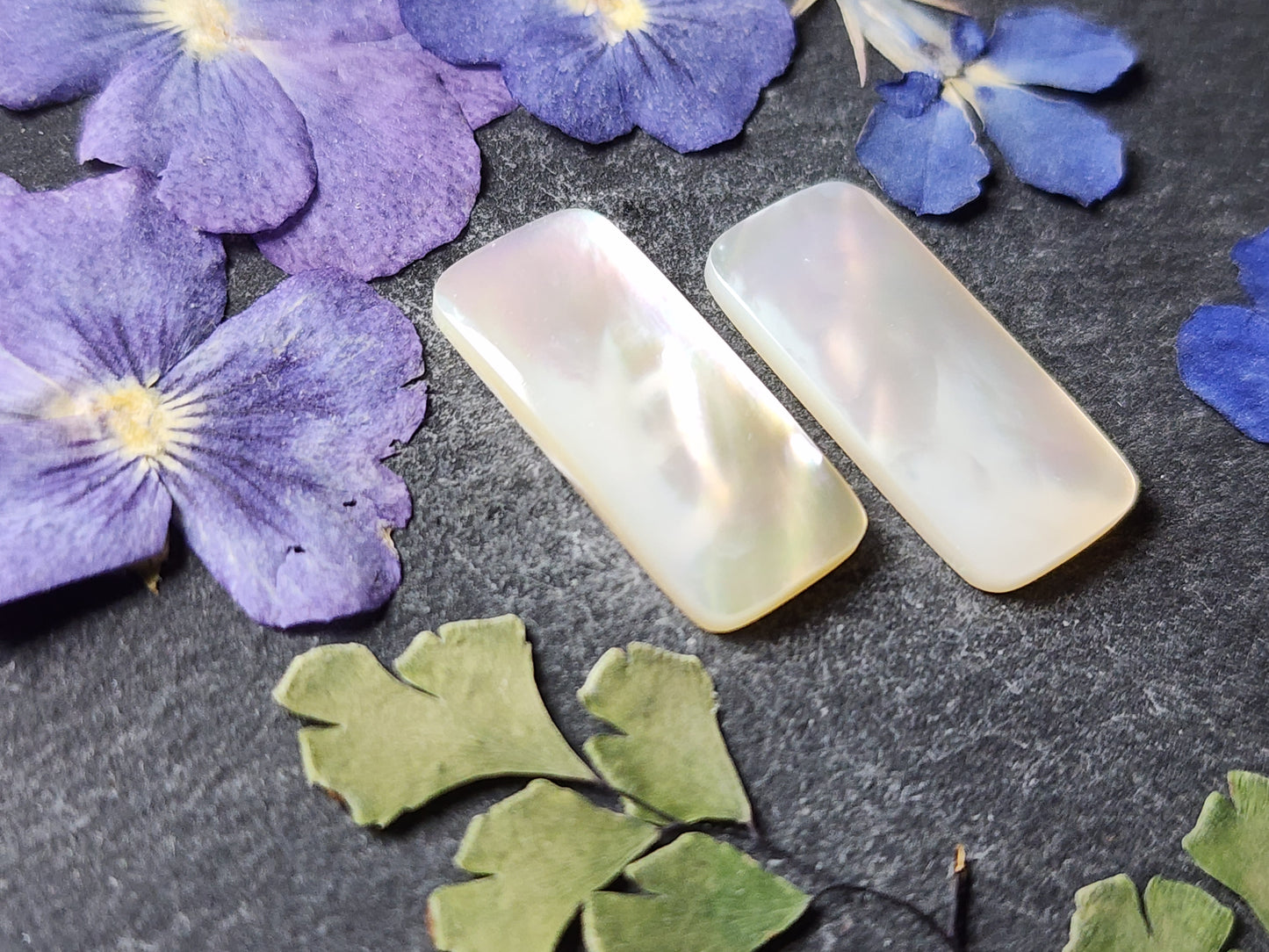 Mother of pearl shell pair