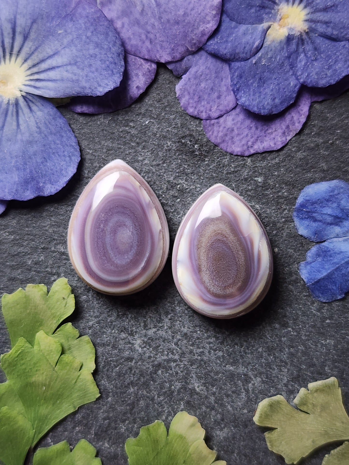 Wampum shell pair