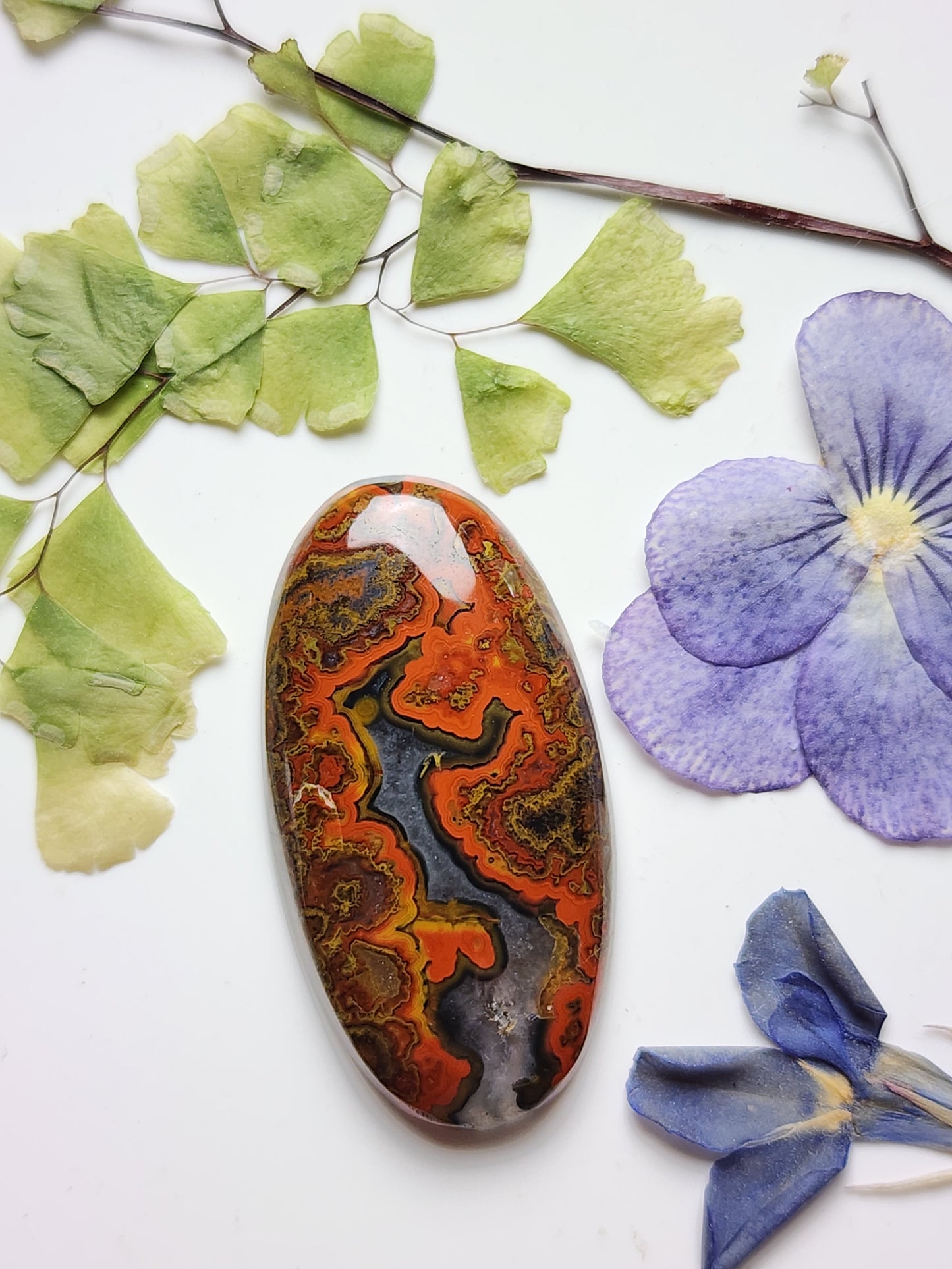 Moroccan seam agate