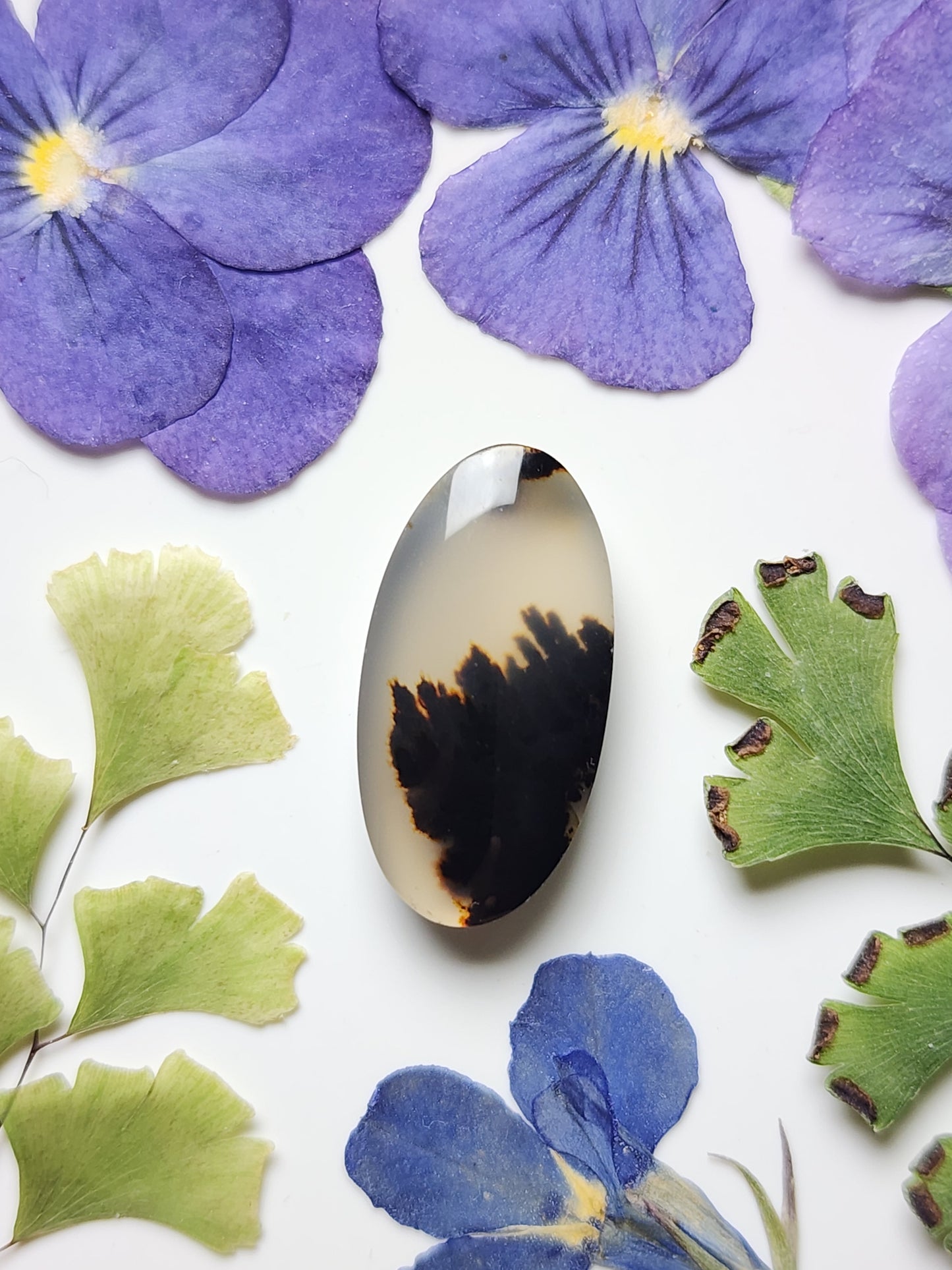 Montana agate