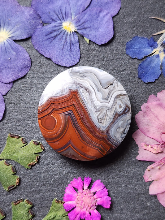 Laguna lace agate