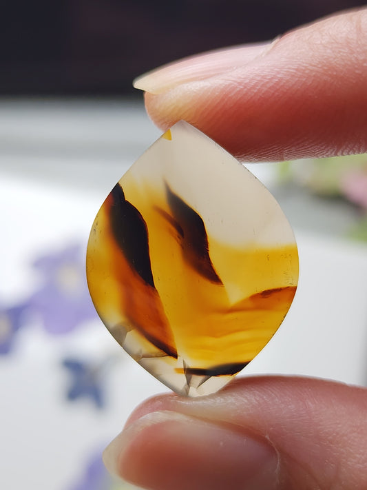 Montana agate