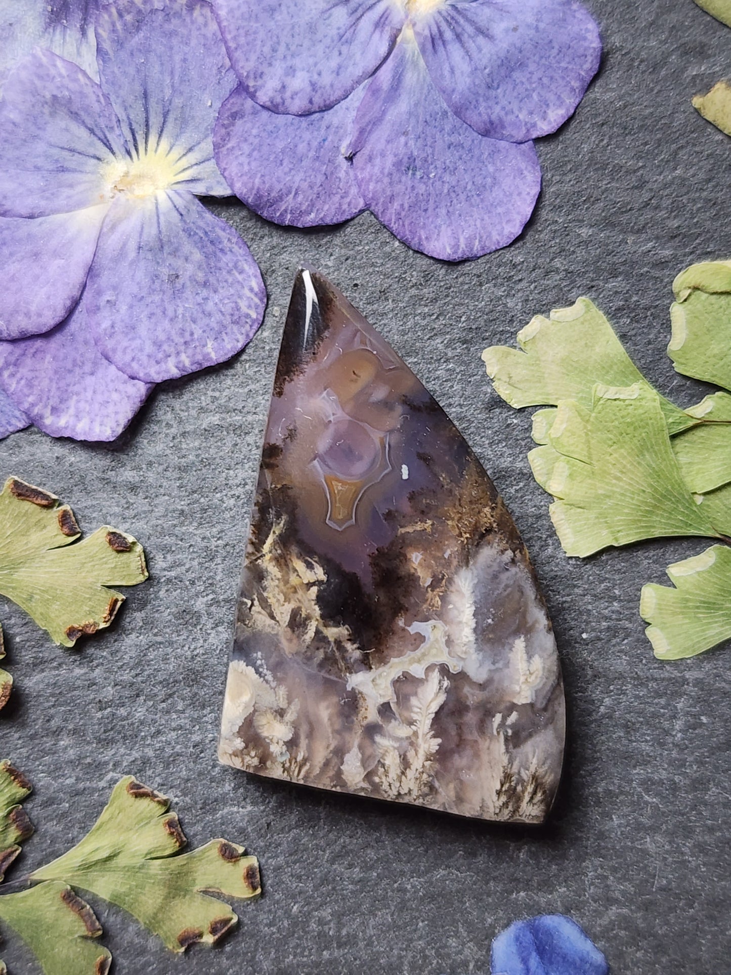 Dendritic plume agate