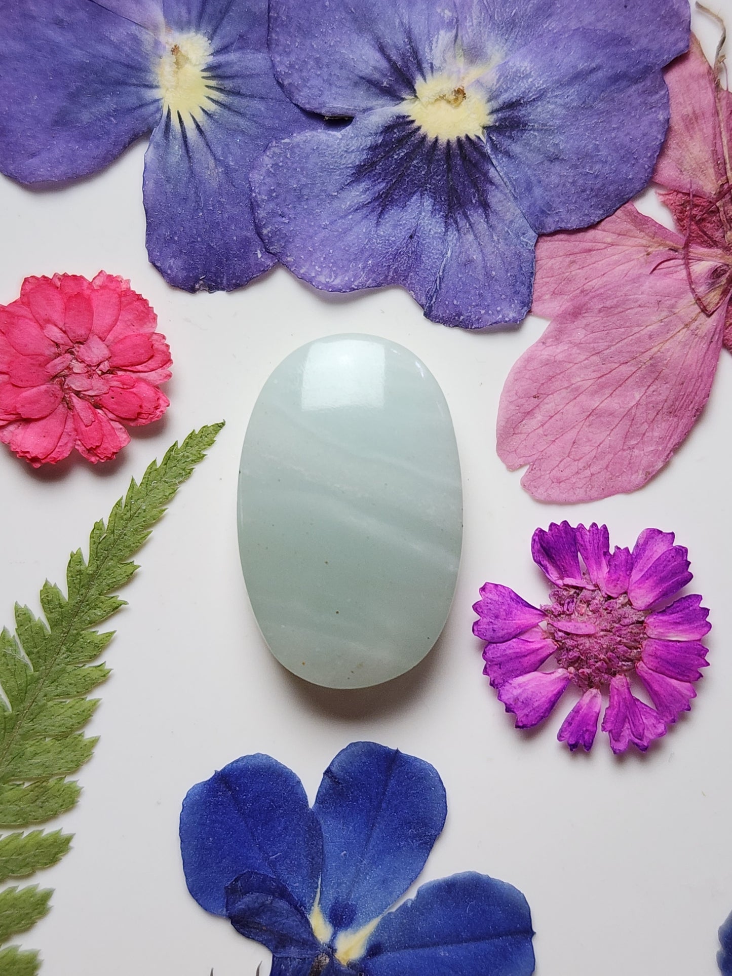 BC Ocean picture stone
