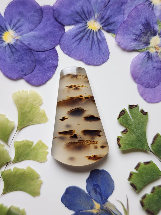 Montana agate