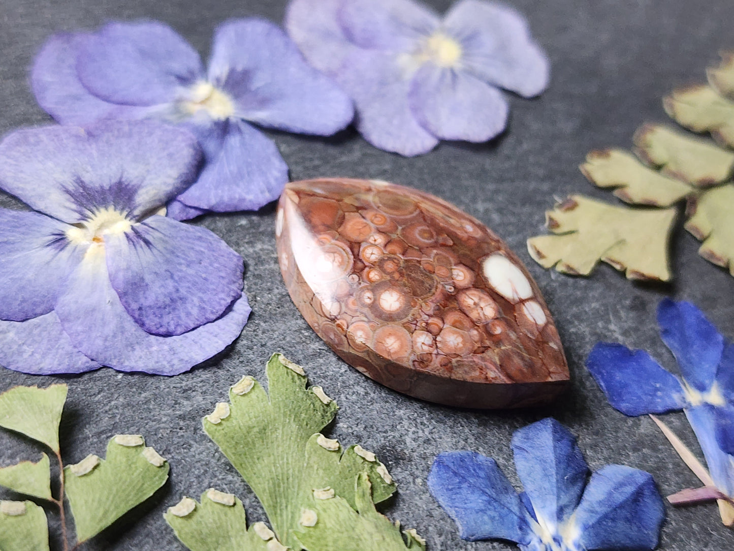 Galaxy Rhyolite