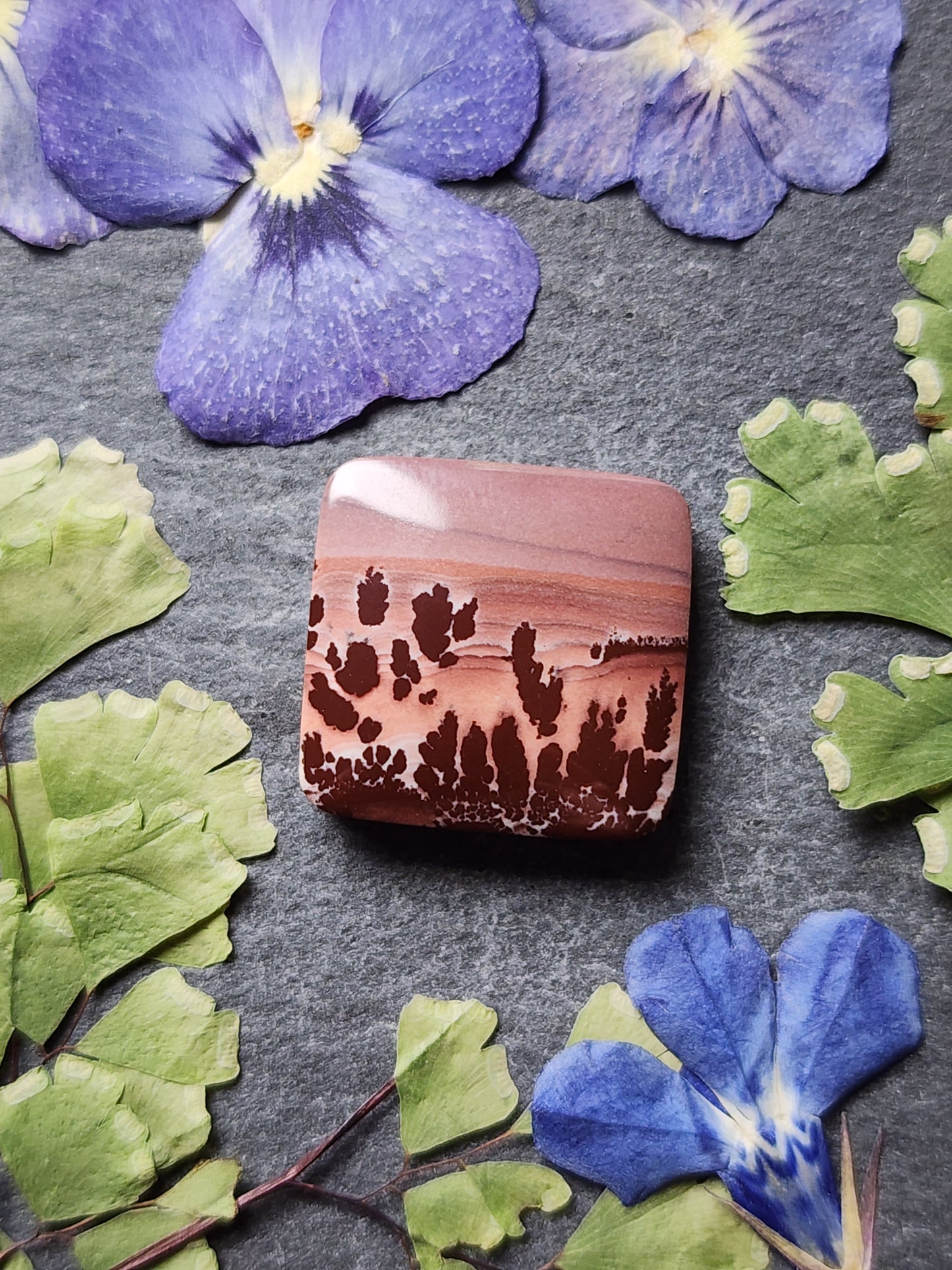 Mimbres Valley Apache Dendritic Rhyolite