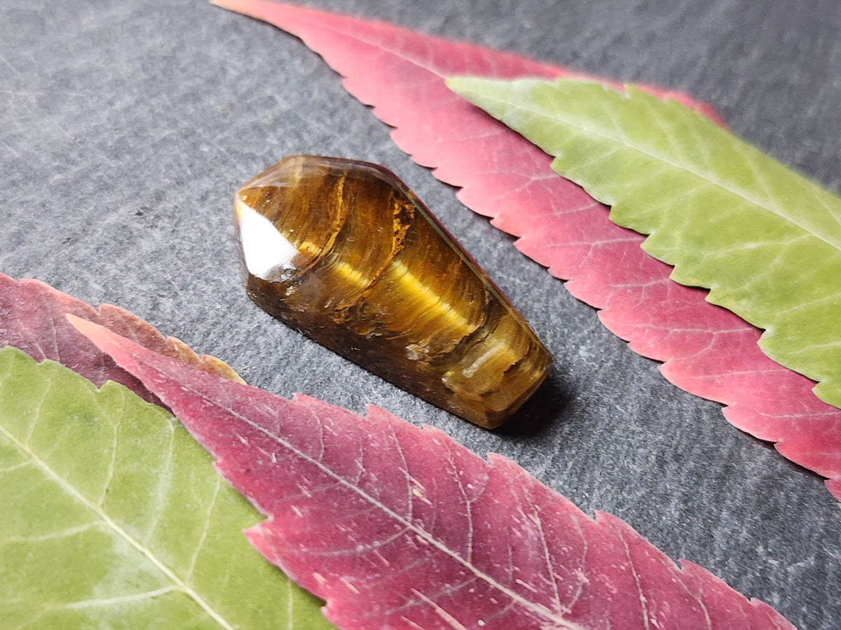 Tiger's eye coffin