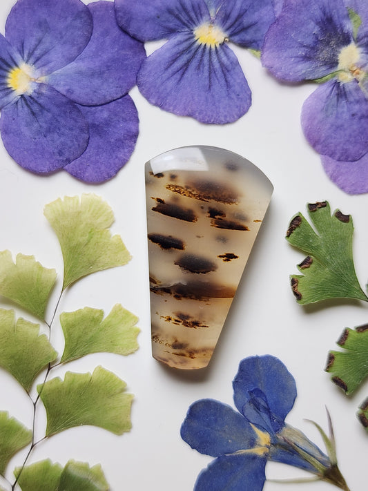Montana agate