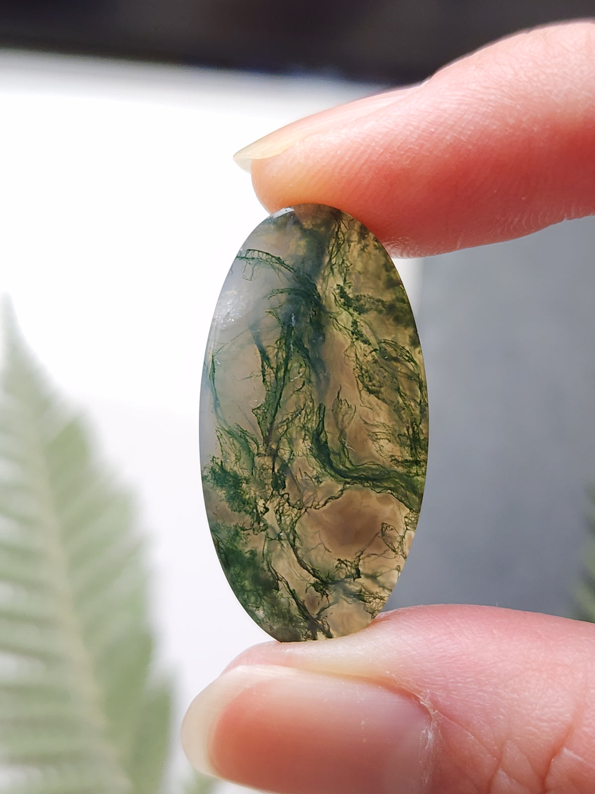 Montana agate