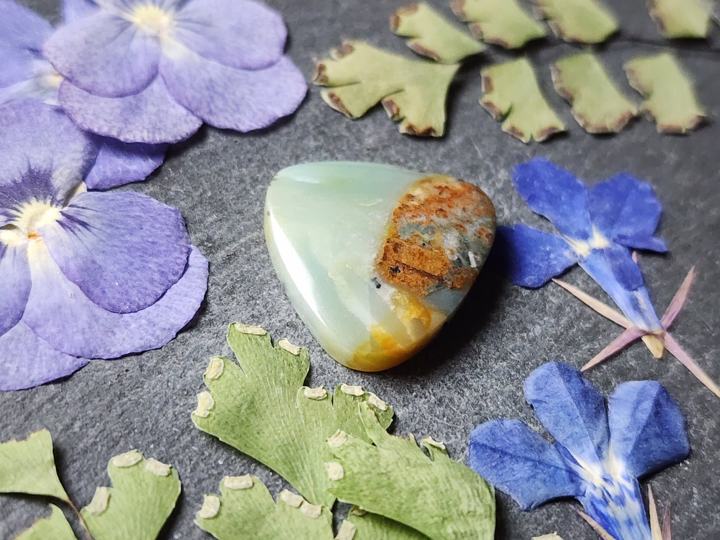 BC Ocean picture stone