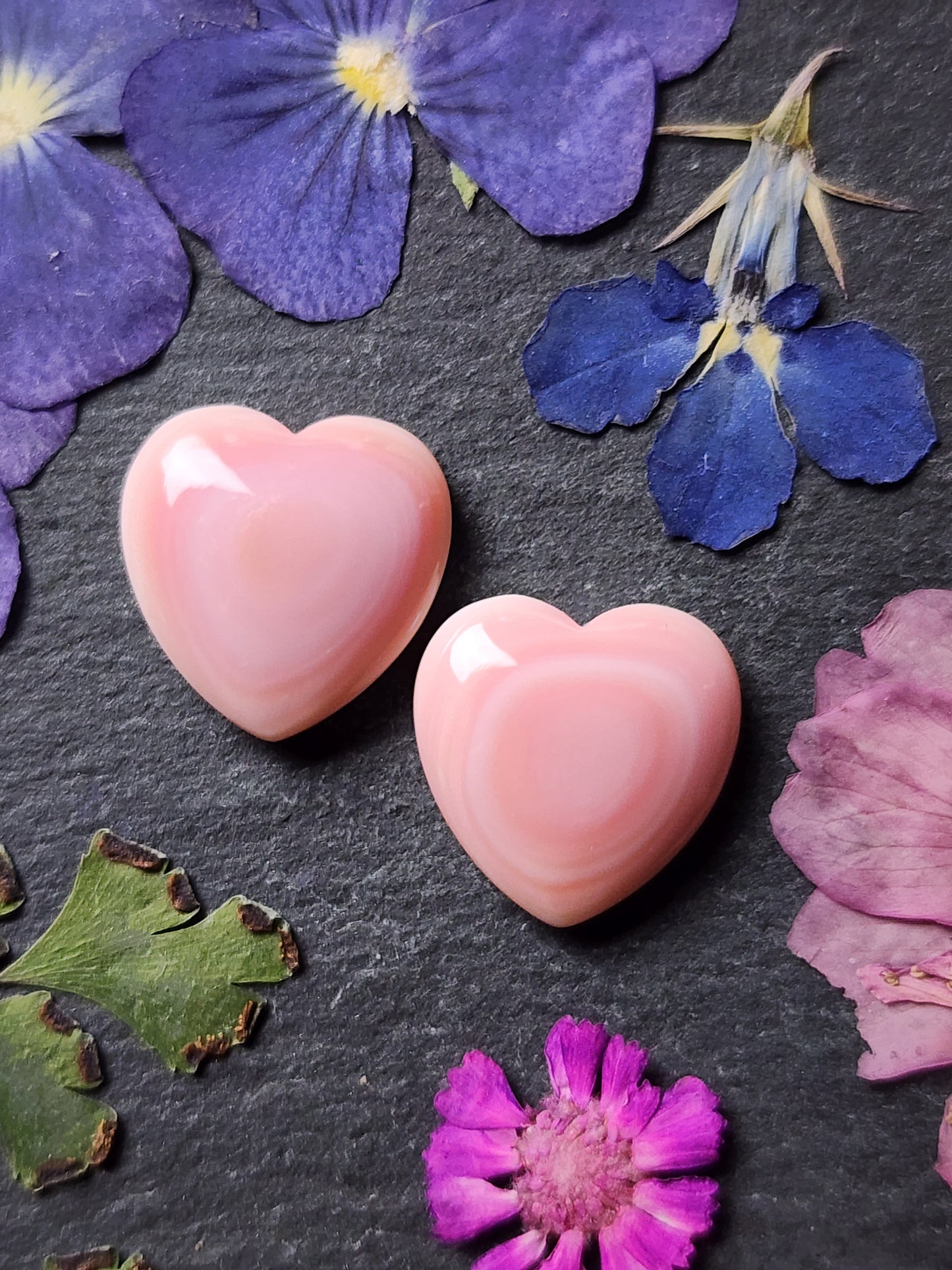 Pink Conch shell heart pair