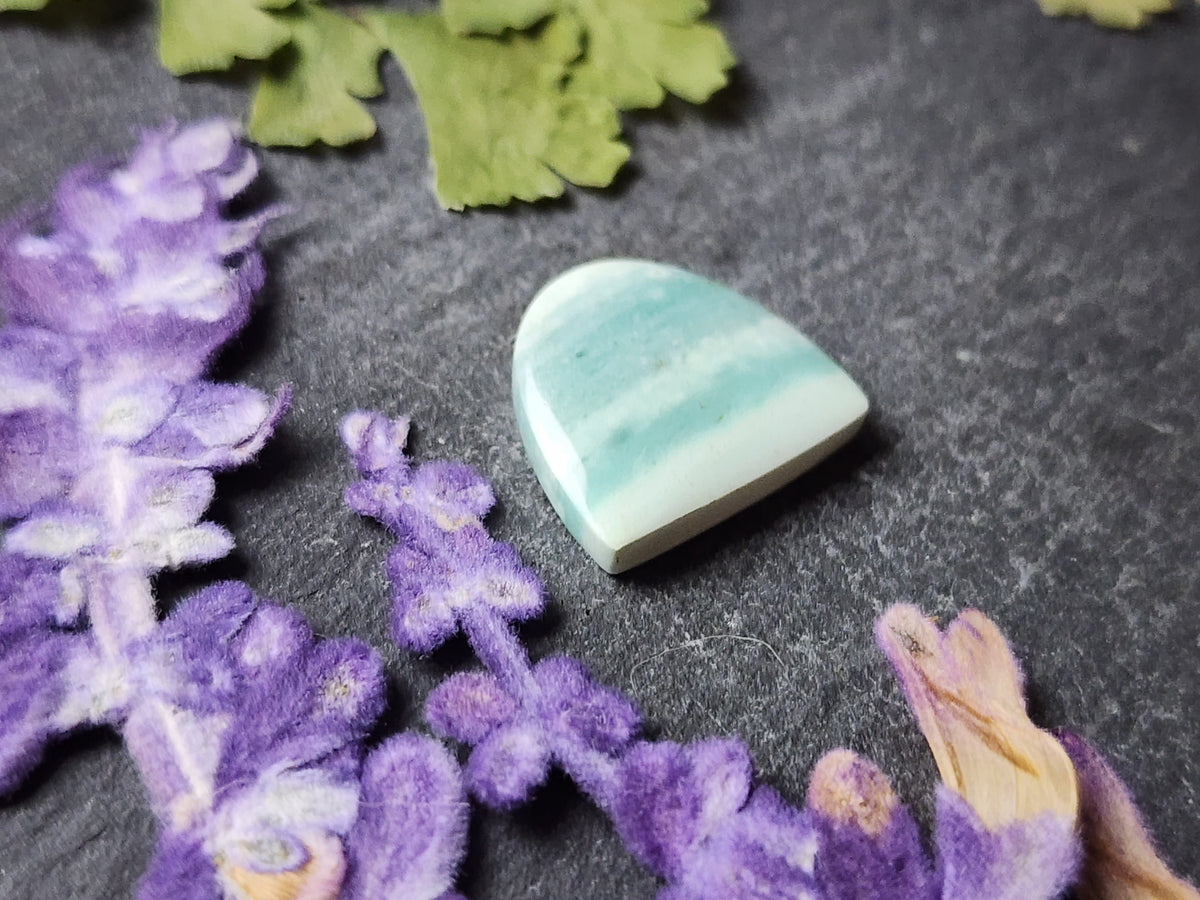 Petrified blue opalized wood