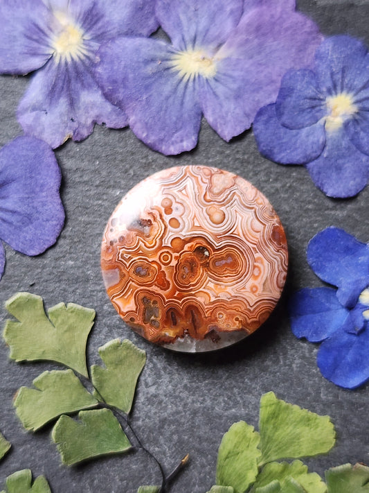 Laguna lace agate