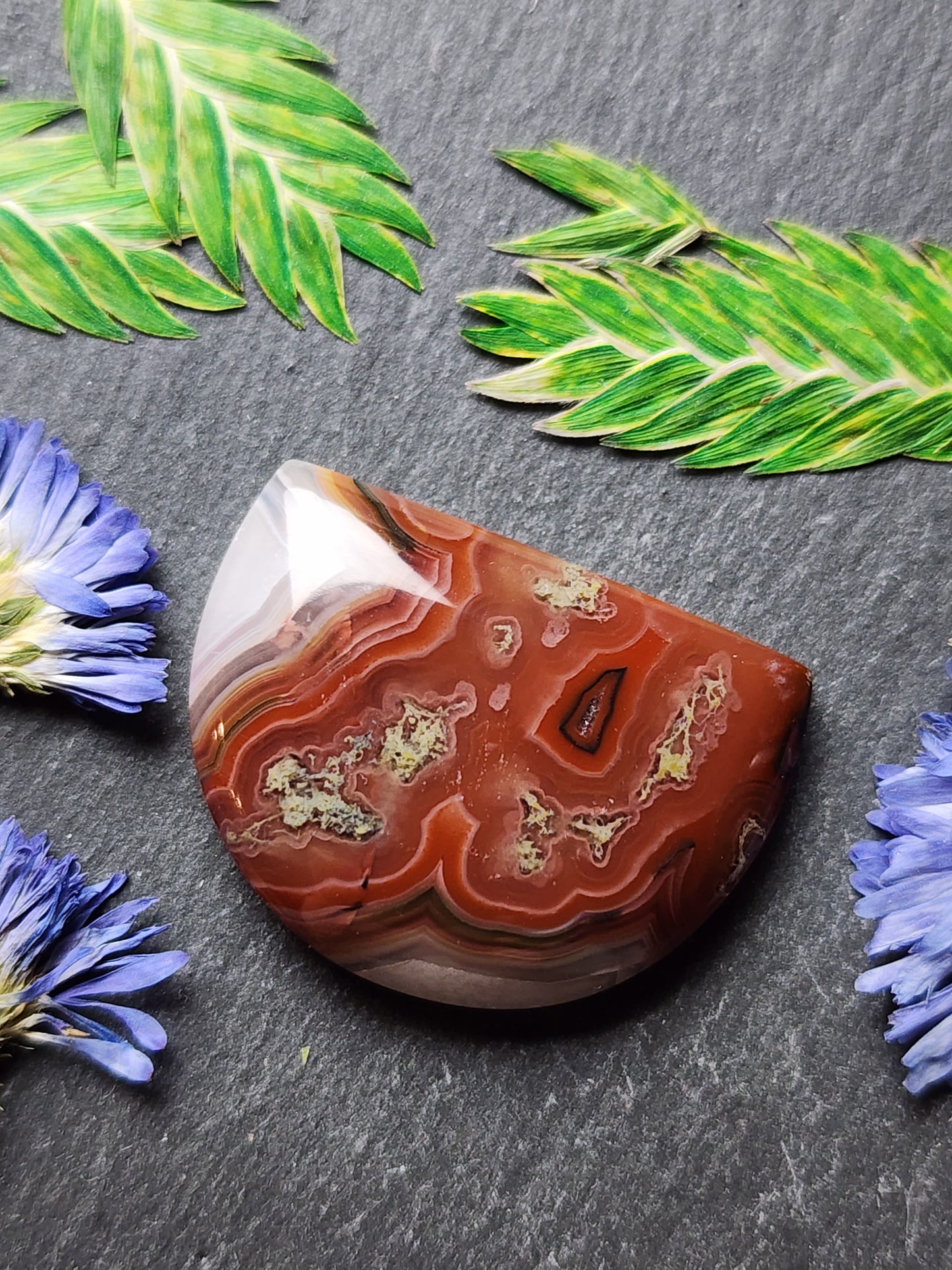 Agua Nueva agate
