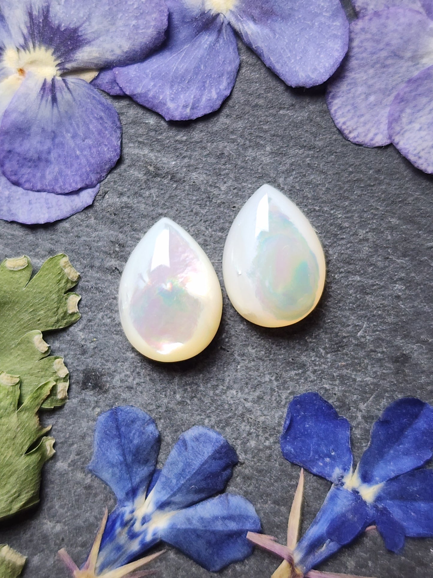 Mother of pearl shell pair (A1)