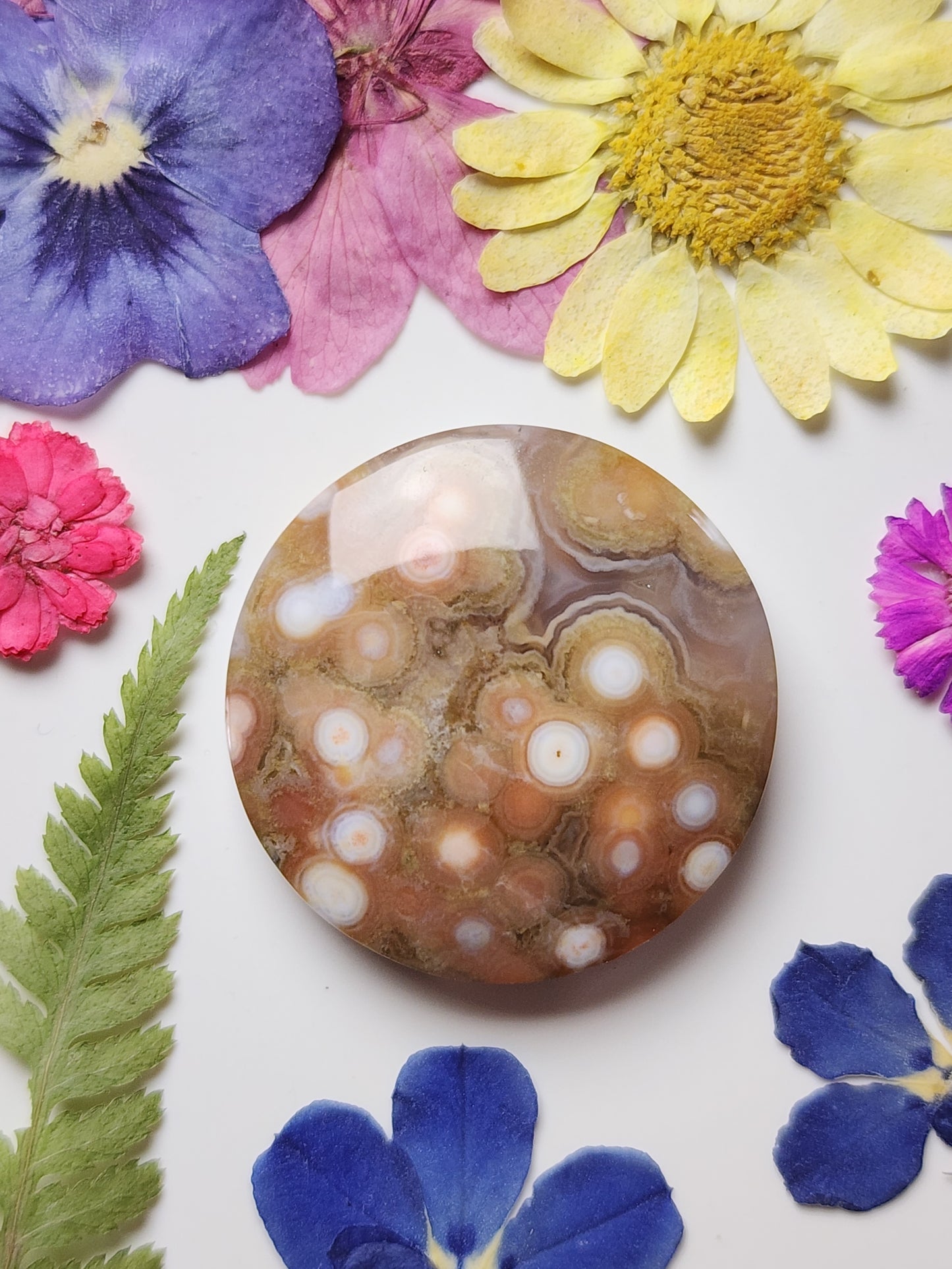 Ocean jasper