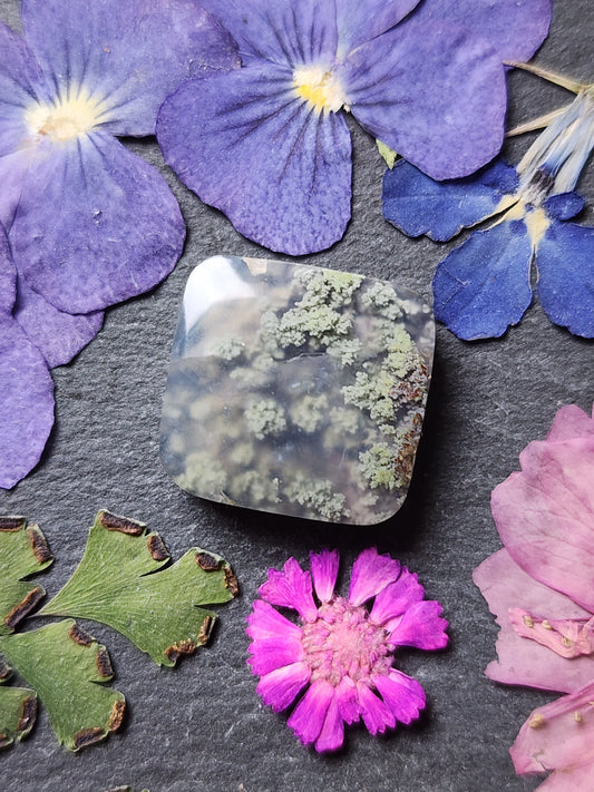 Garden Moss agate