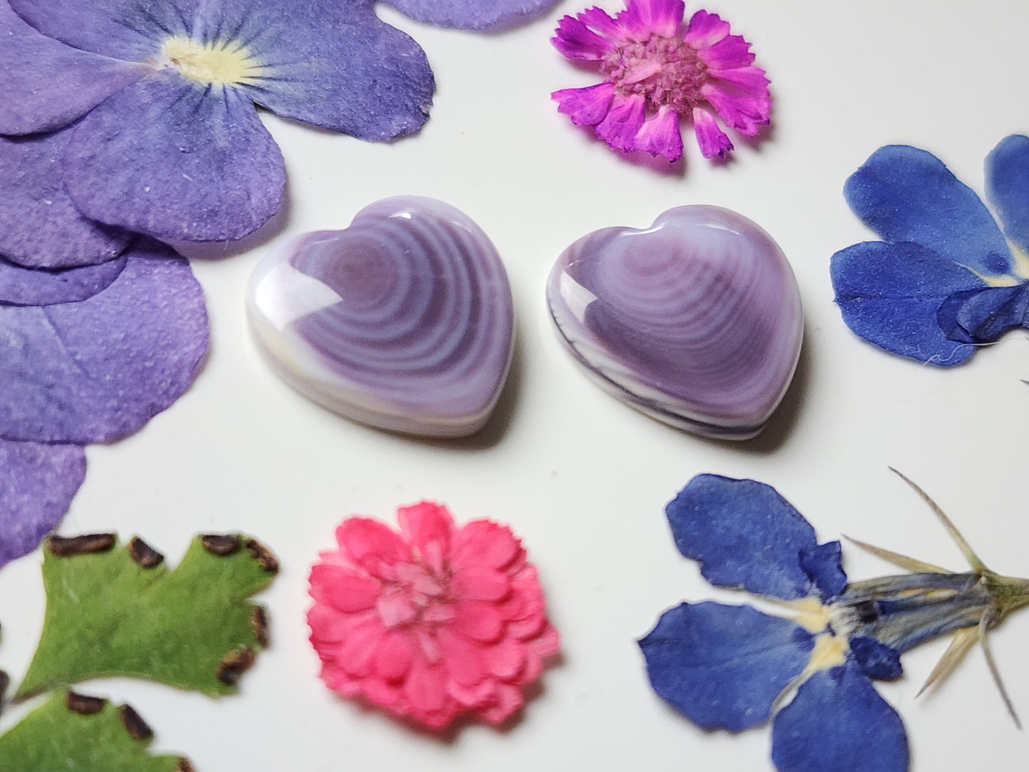 Wampum shell heart pair