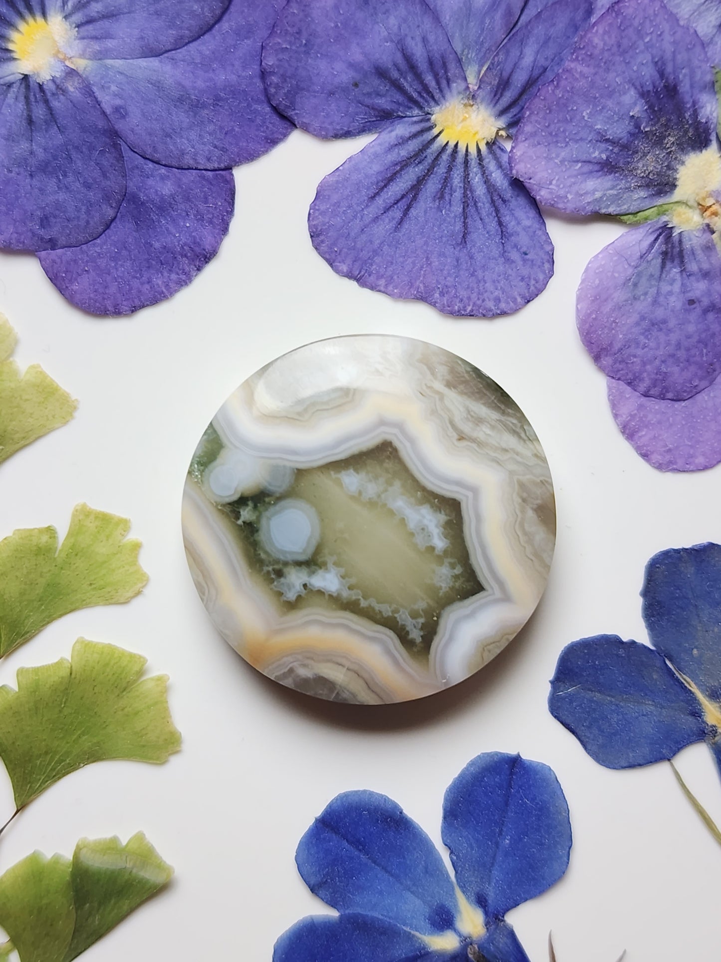 Ocean jasper