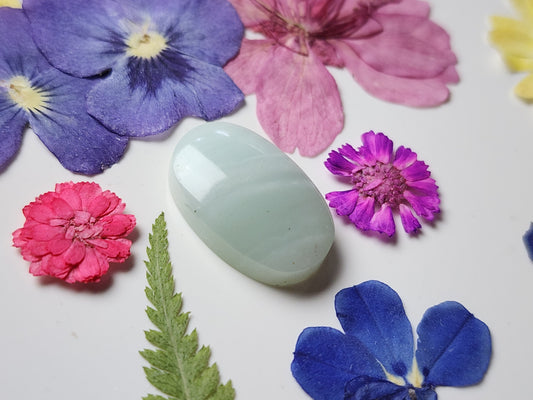 BC Ocean picture stone