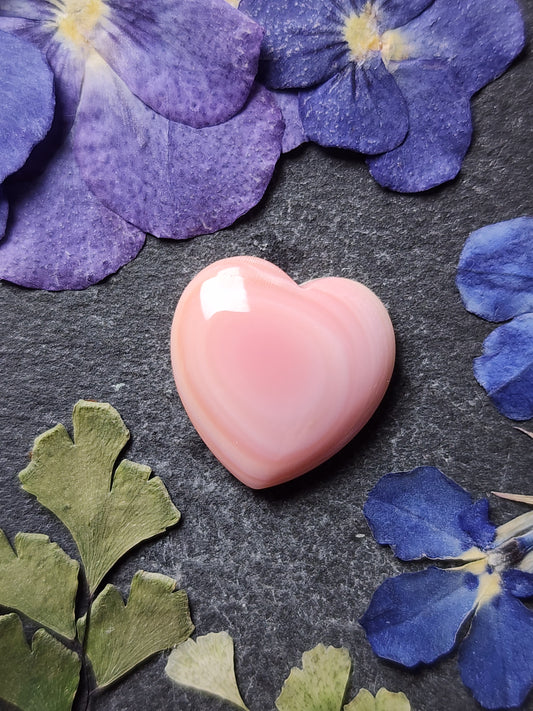 Pink Conch shell heart