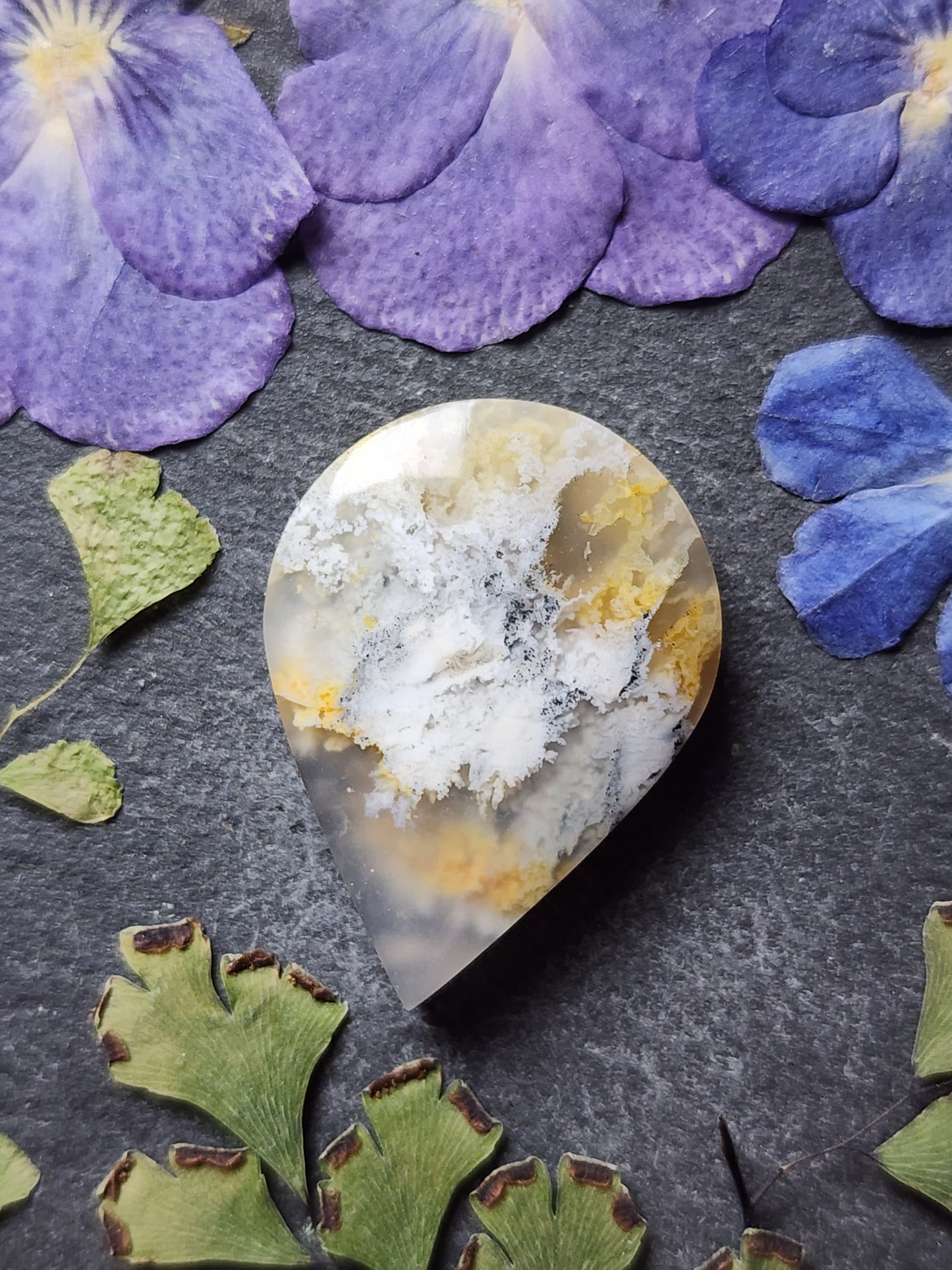 North Ridge plume agate