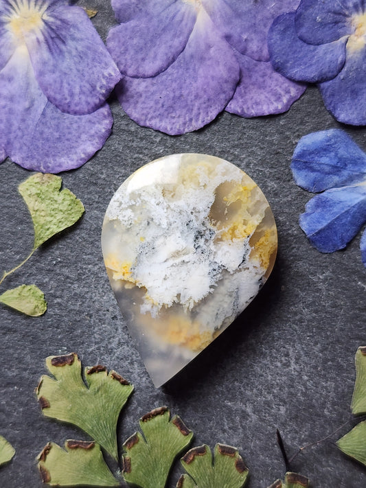 North Ridge plume agate