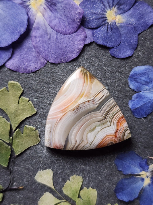 Laguna lace agate