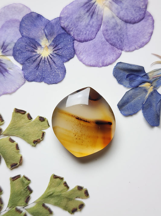 Montana agate