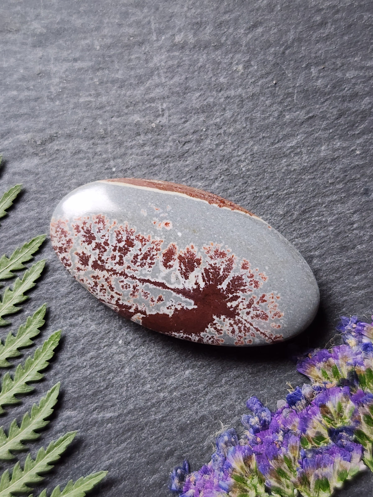 Sonoran Dendritic Rhyolite