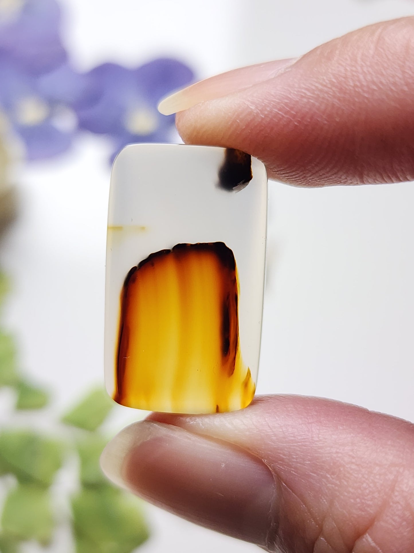 Montana agate