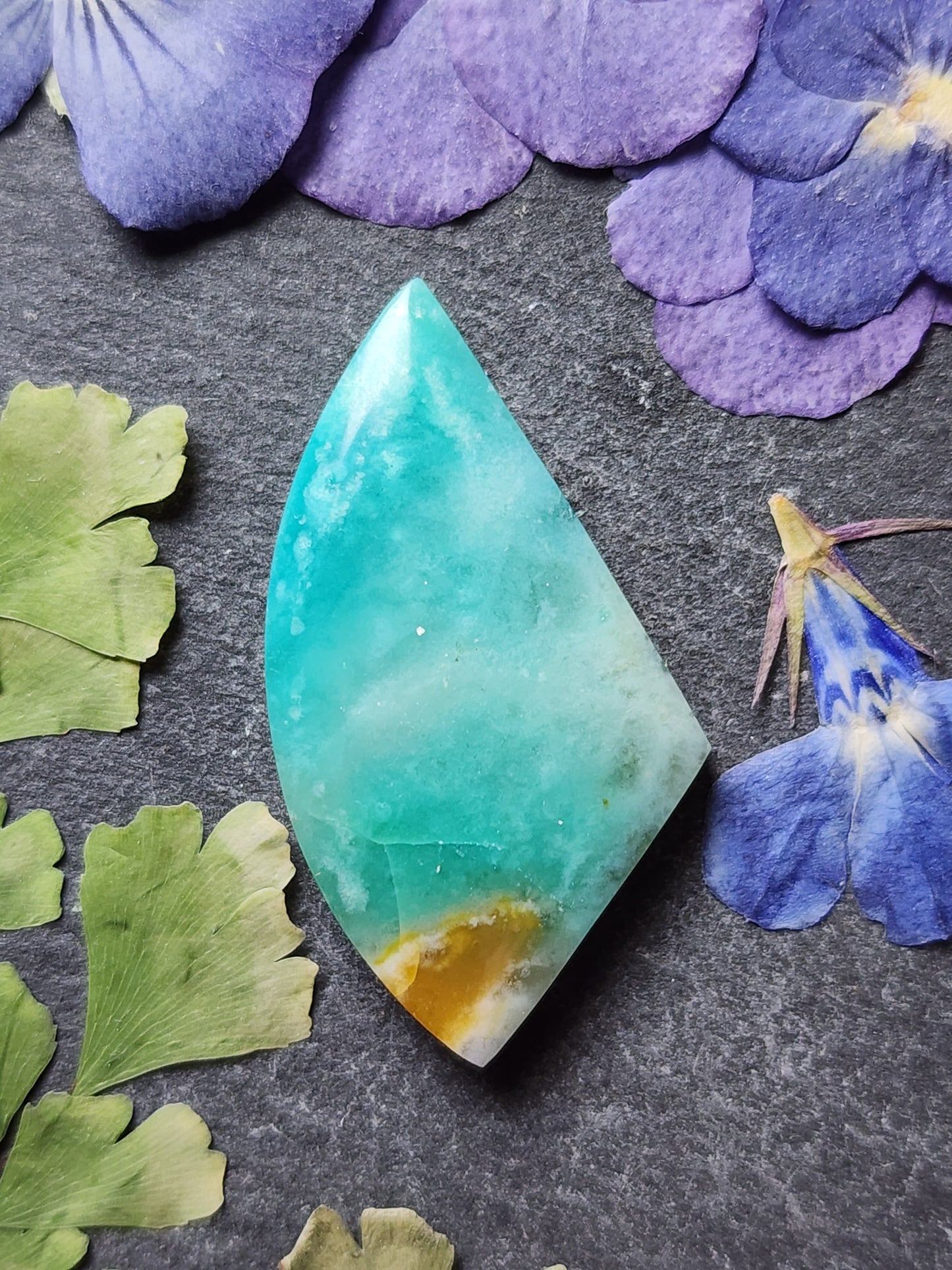 Petrified Blue Opalized wood