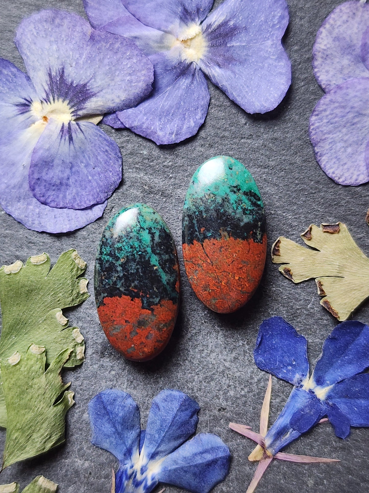 Sonora Sunrise pair