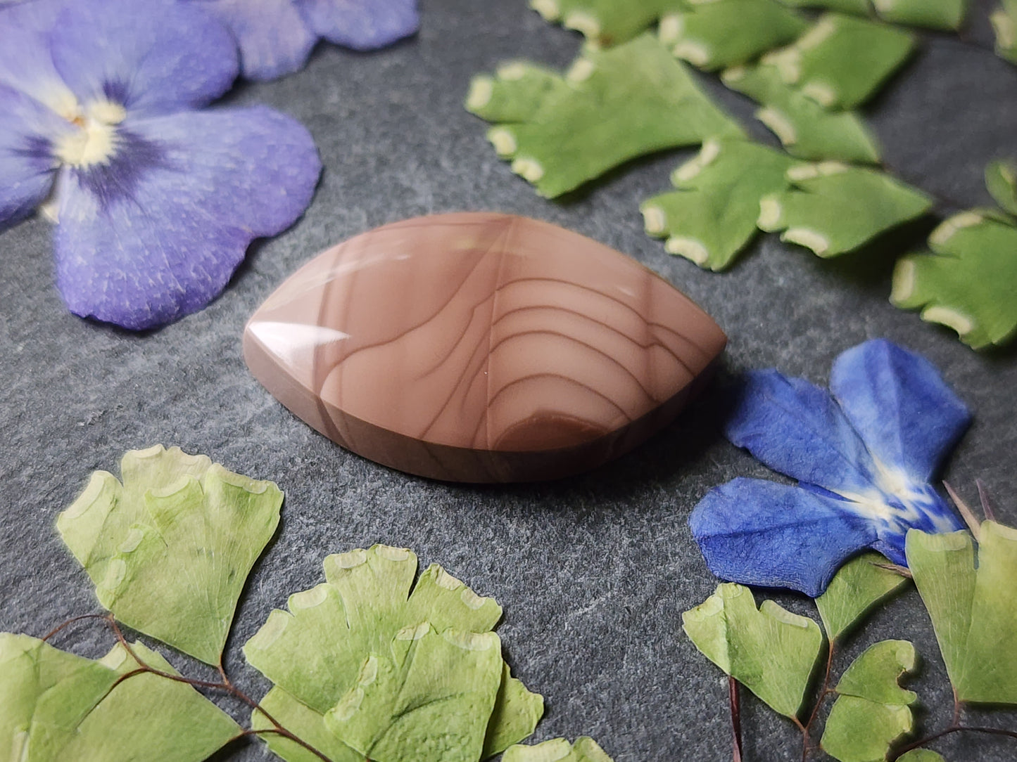 Willow Creek jasper